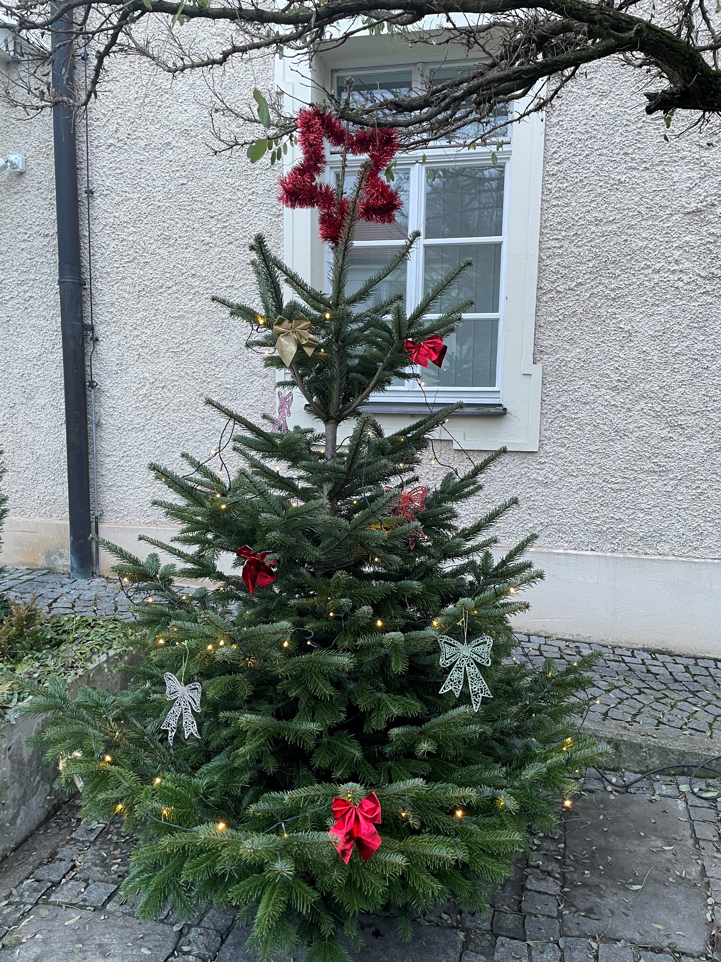 Christbaum